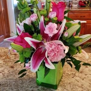 Meet your Posher, Dez